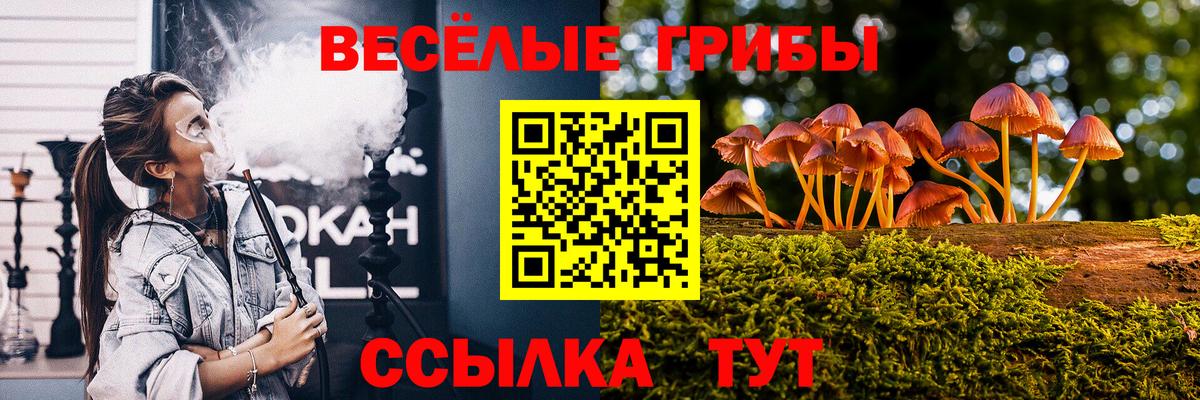 где можно купить наркотик  Вход с VPN  Псилоцибиновые грибы мухоморы  Моздок  Псилоцибиновые грибы прущие грибы 